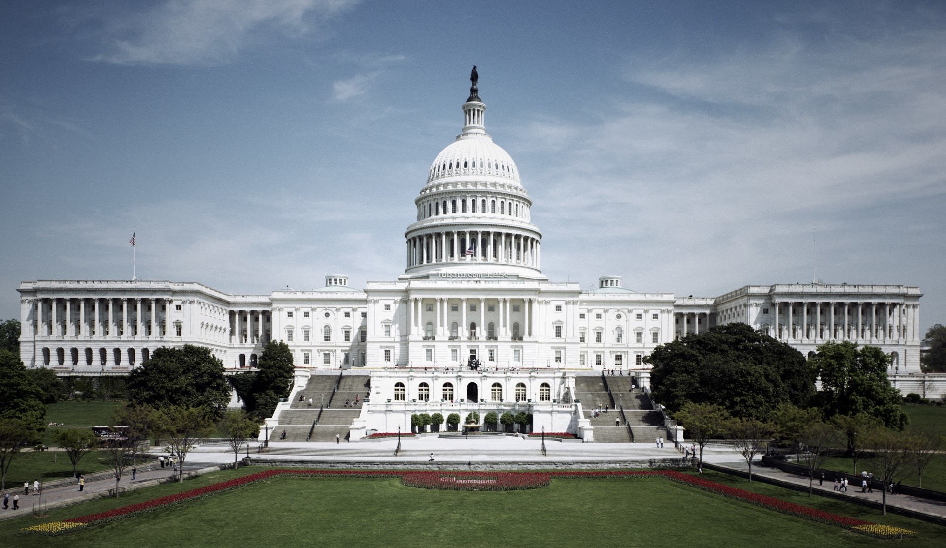 white house